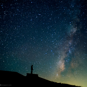 国产特黄刘涛性爱视频
